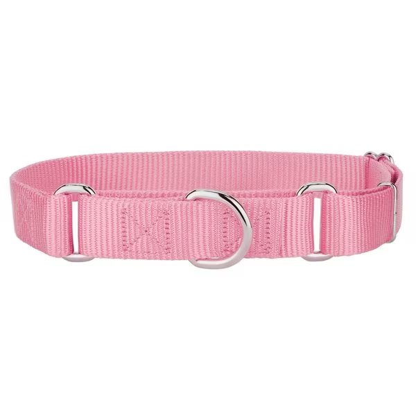 Plain Nylon Martingale Dog Collar, Small - Pink, Pet Pal, Mfr#: PE2619981